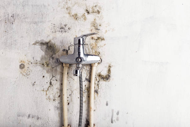 Best Commercial Mold Removal  in Riverside, OH