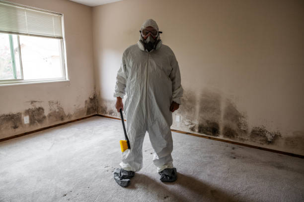 Best Professional Mold Removal  in Riverside, OH